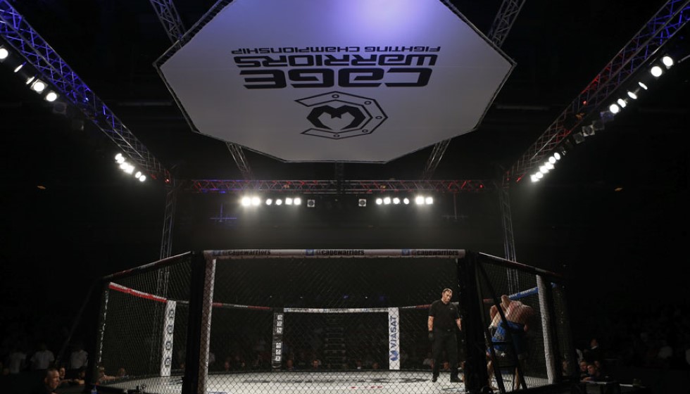 Exploring the Dynamics of Fight Betting in Combat Sports