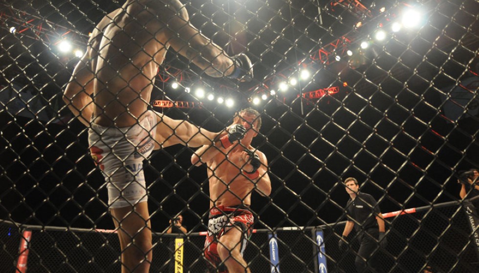 Exciting Developments in the World of Mixed Martial Arts